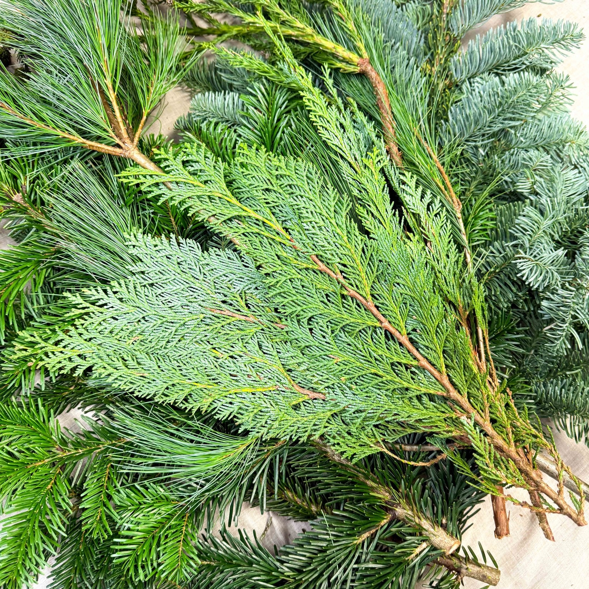 Winter Mix Foliage Branch Selection – Fresh Christmas Craft Greens for Wreaths, Garlands & Festive Floristry - Image 7