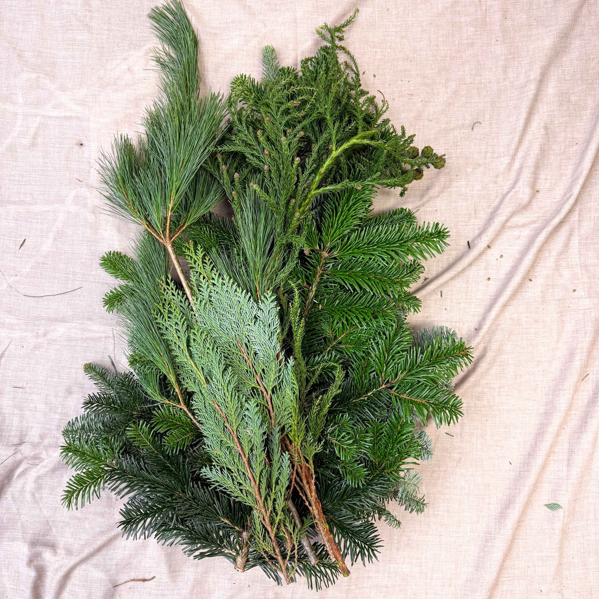 Winter Mix Foliage Branch Selection – Fresh Christmas Craft Greens for Wreaths, Garlands & Festive Floristry - Image 8
