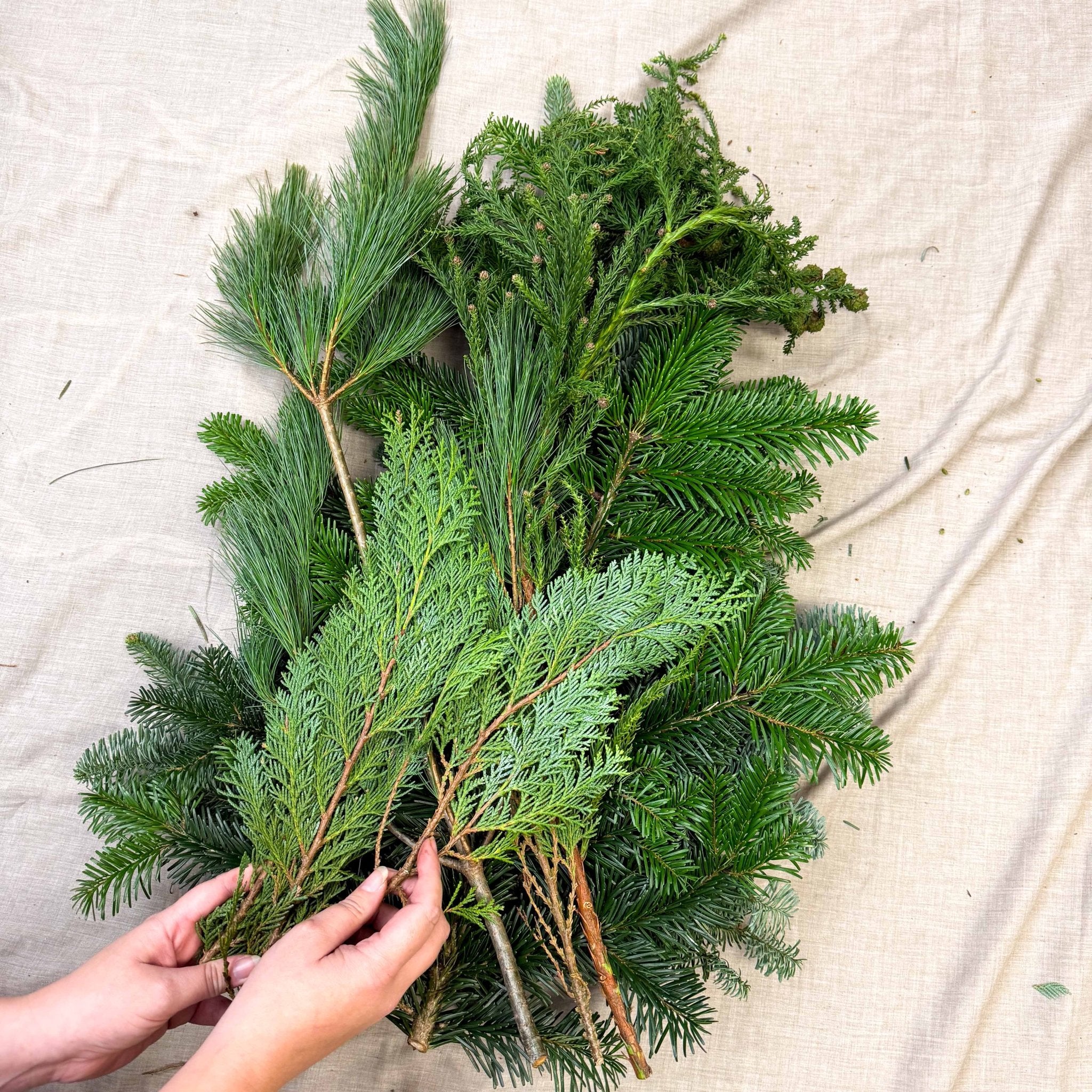 Winter Mix Foliage Branch Selection – Fresh Christmas Craft Greens for Wreaths, Garlands & Festive Floristry - Image 9