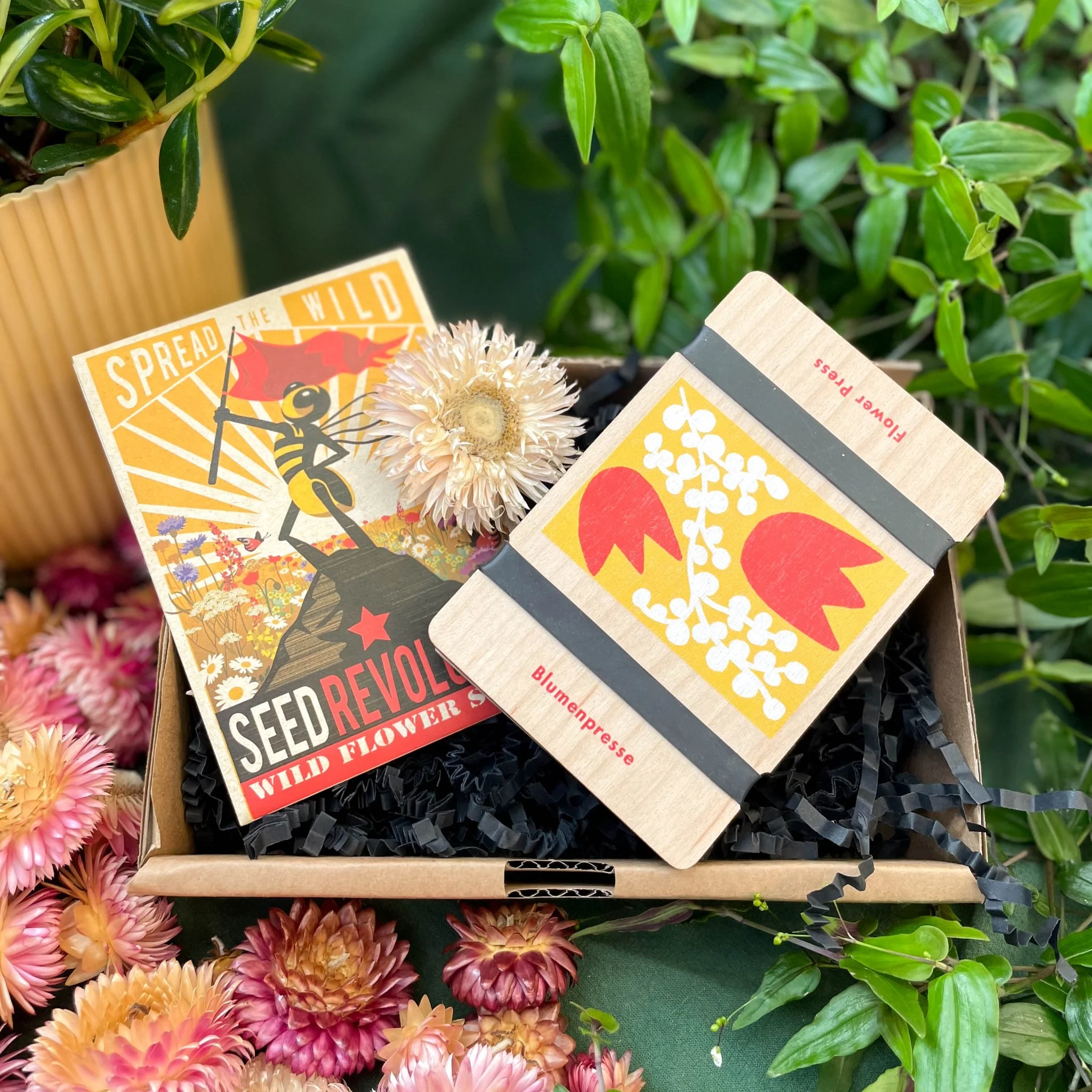 Flower Press and Wildflower Seed Gift Set | Good for Pollinators | UK Brands | Supporting Indies