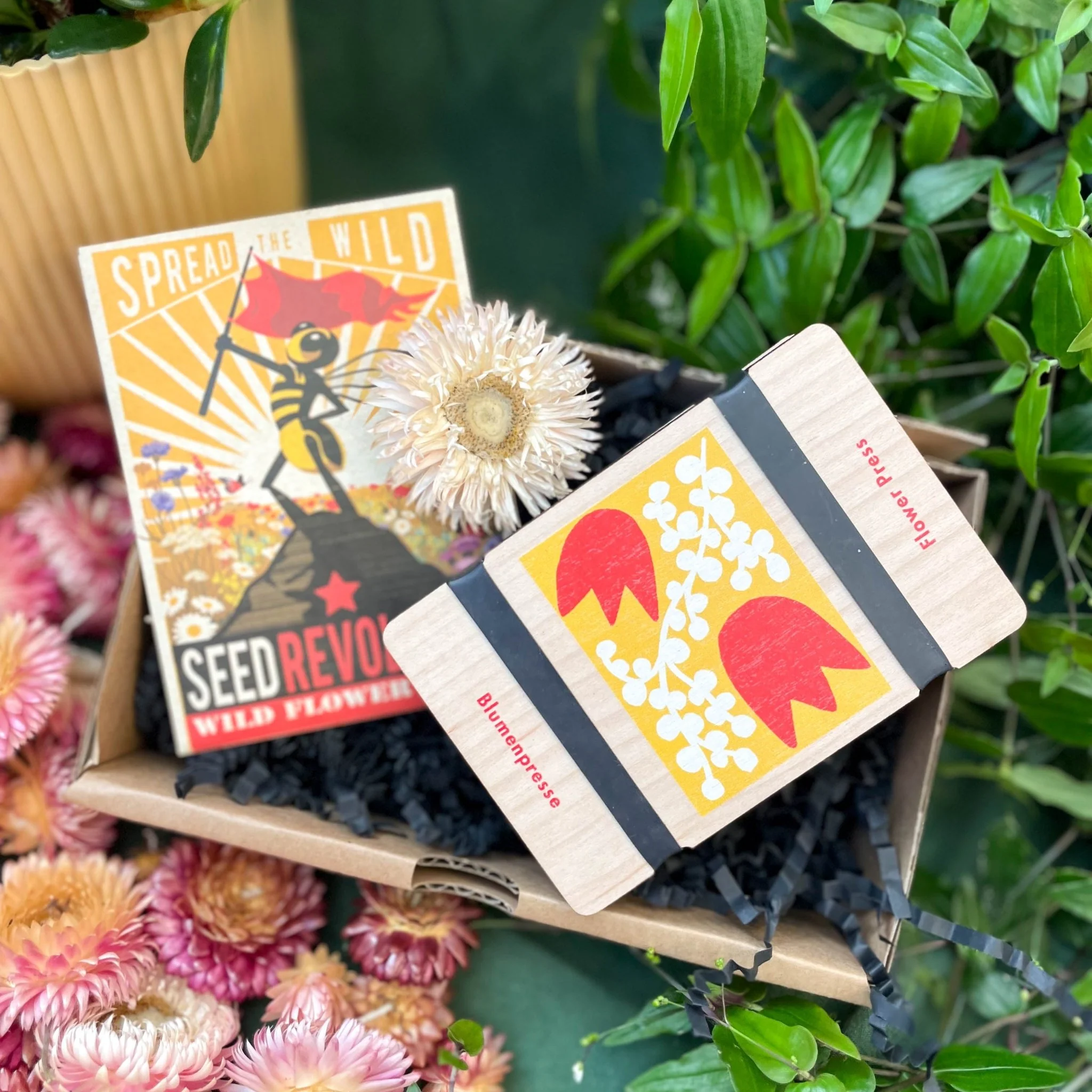 Flower Press and Wildflower Seed Gift Set | Good for Pollinators | UK Brands | Supporting Indies - Image 3