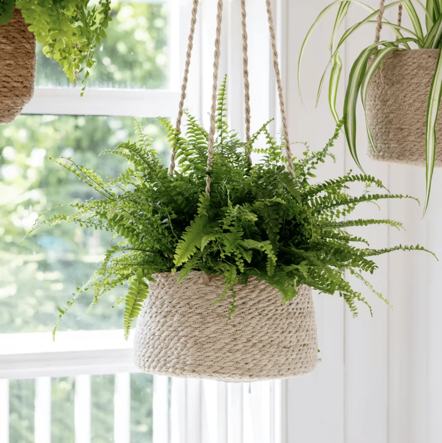 Woven Hanging Plant Pot – Natural Jute & Seagrass - Image 4