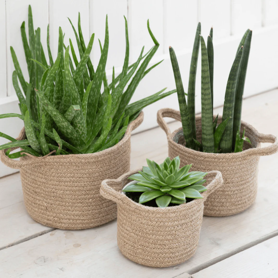 Woven Plant Pots