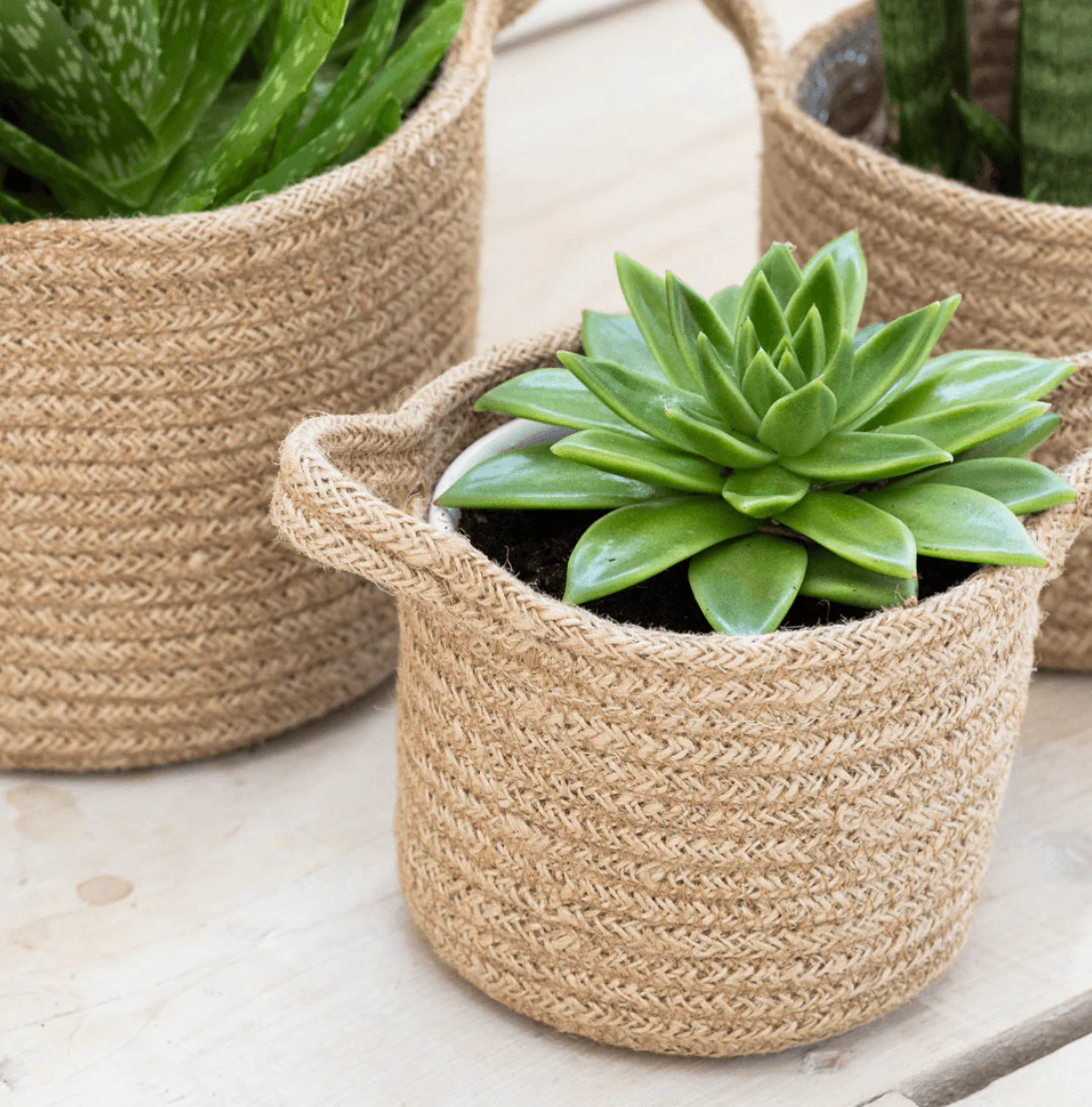 Woven Plant Pots - Image 2