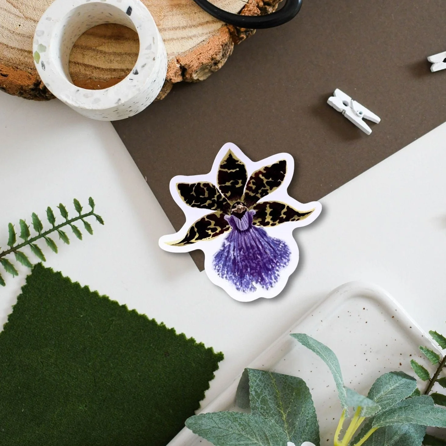 Zygopetalum Orchid Tropical Houseplant Vinyl Sticker [Beneath the Canopy RHS Collab]