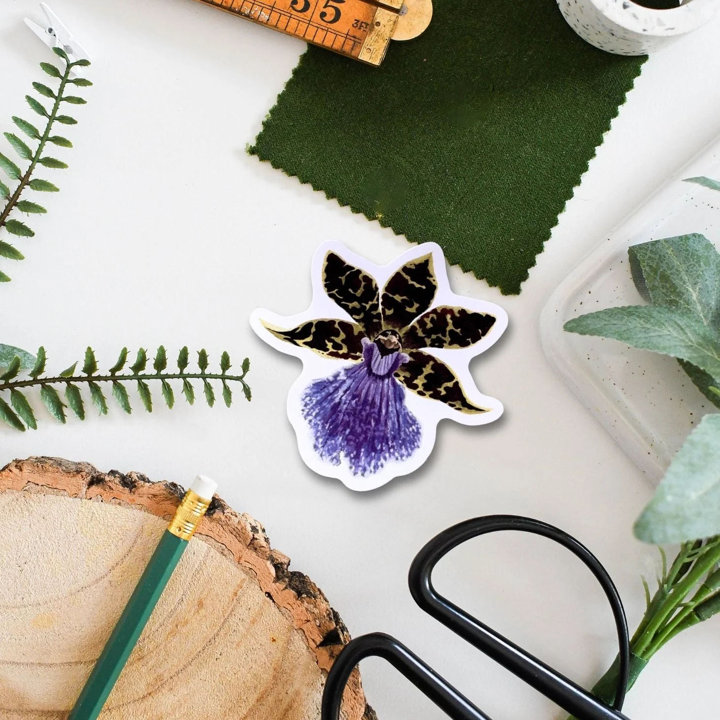 Zygopetalum Orchid Tropical Houseplant Vinyl Sticker [Beneath the Canopy RHS Collab] - Image 2