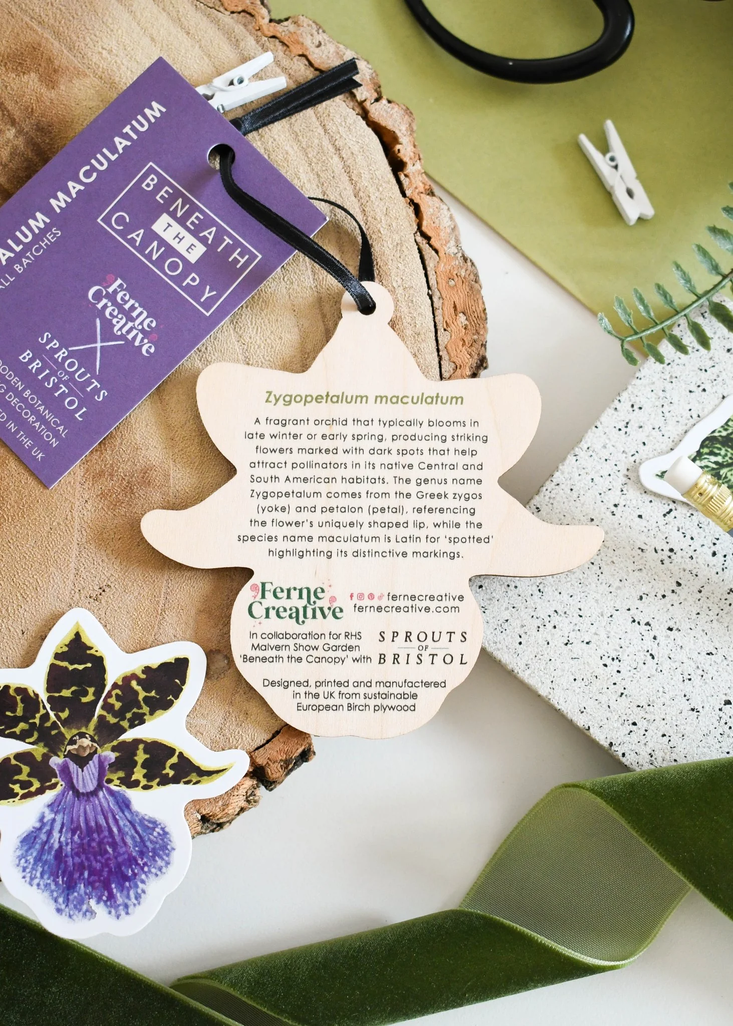 Zygopetalum Orchid Wooden Decoration [Beneath the Canopy RHS Collab] - Image 2