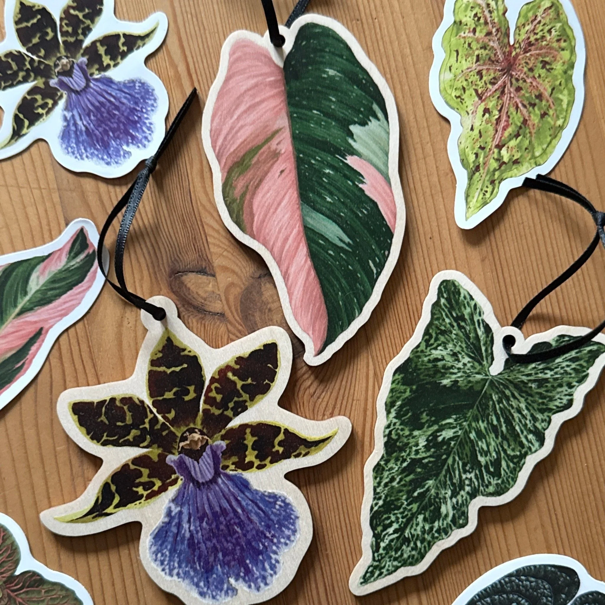 Zygopetalum Orchid Wooden Decoration [Beneath the Canopy RHS Collab] - Image 5